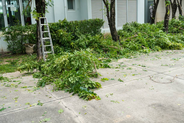 Best Utility Line Clearance  in Pines Lake, NJ
